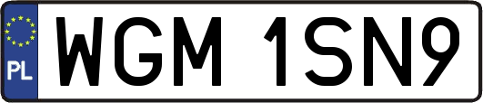 WGM1SN9