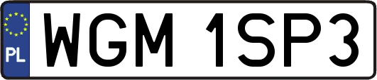 WGM1SP3