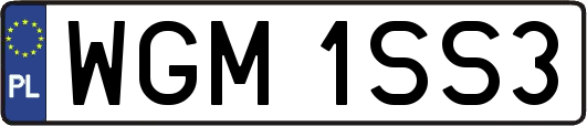 WGM1SS3
