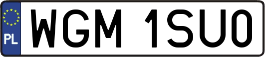 WGM1SU0