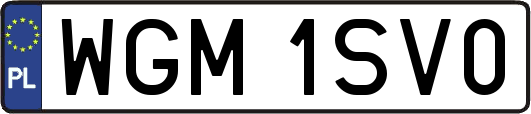 WGM1SV0