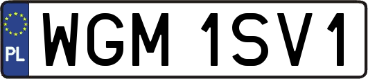 WGM1SV1