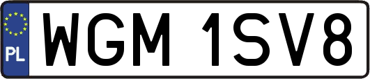 WGM1SV8