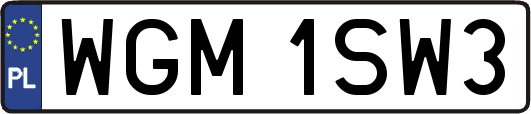 WGM1SW3