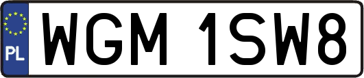 WGM1SW8