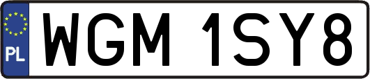 WGM1SY8