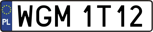 WGM1T12