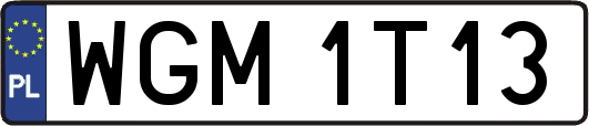 WGM1T13