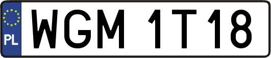 WGM1T18
