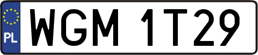 WGM1T29