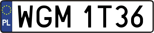 WGM1T36