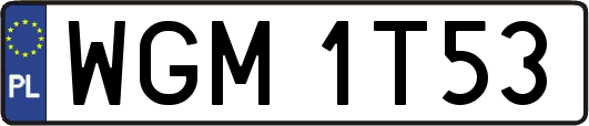 WGM1T53