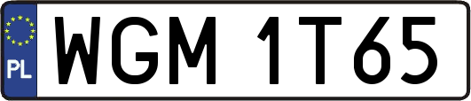 WGM1T65