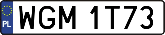 WGM1T73