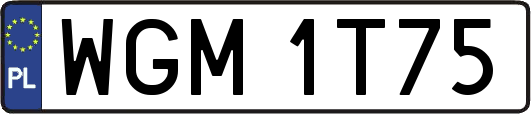 WGM1T75