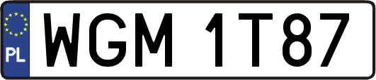WGM1T87