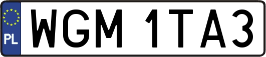 WGM1TA3