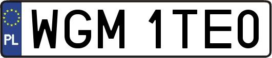 WGM1TE0