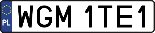 WGM1TE1