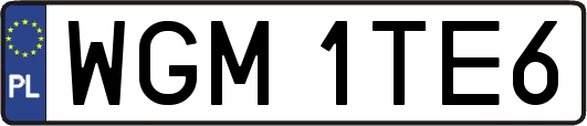 WGM1TE6