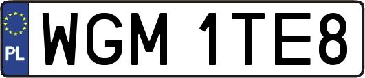 WGM1TE8