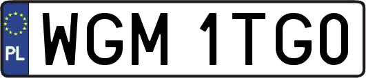 WGM1TG0