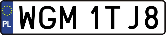 WGM1TJ8