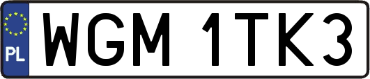 WGM1TK3