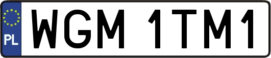 WGM1TM1