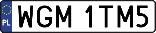WGM1TM5