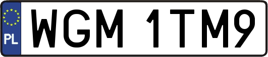 WGM1TM9