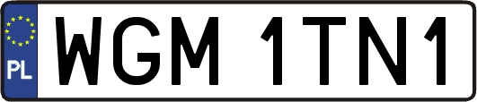 WGM1TN1