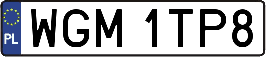 WGM1TP8