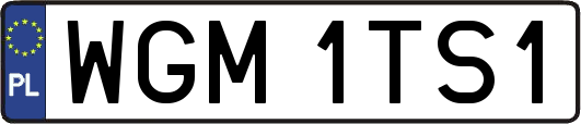 WGM1TS1