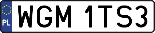 WGM1TS3