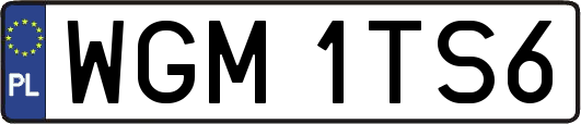 WGM1TS6