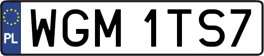 WGM1TS7