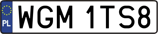 WGM1TS8