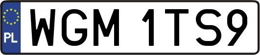 WGM1TS9
