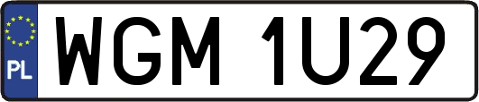 WGM1U29