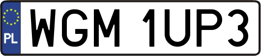 WGM1UP3