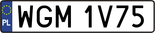 WGM1V75