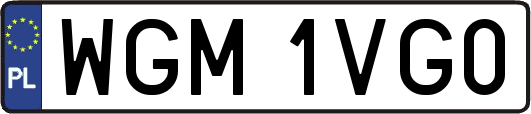 WGM1VG0