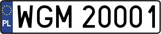 WGM20001