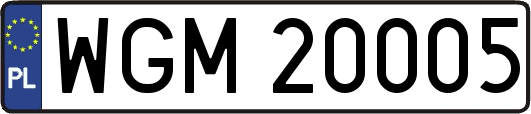 WGM20005