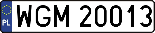 WGM20013