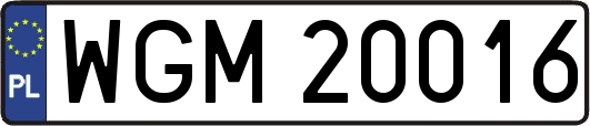 WGM20016