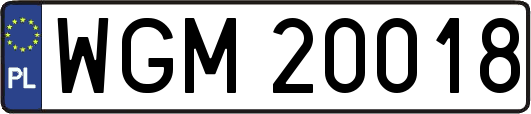 WGM20018