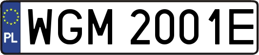 WGM2001E