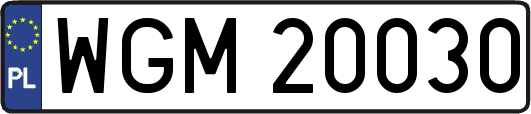 WGM20030